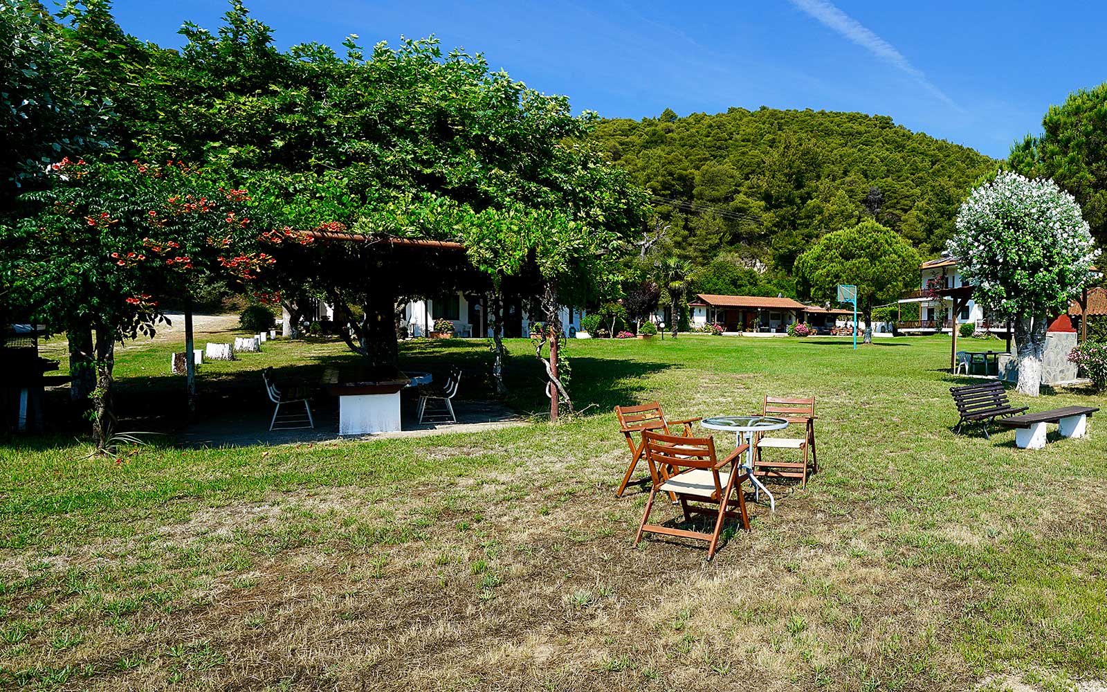 Barbecue area with shaded tables at Bloomora.