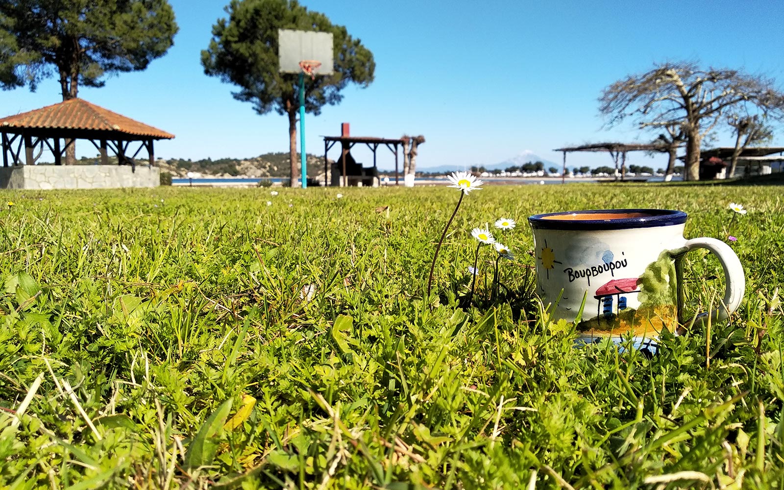 Coffee cup on the grass with the garden and sea in the background at Bloomora.