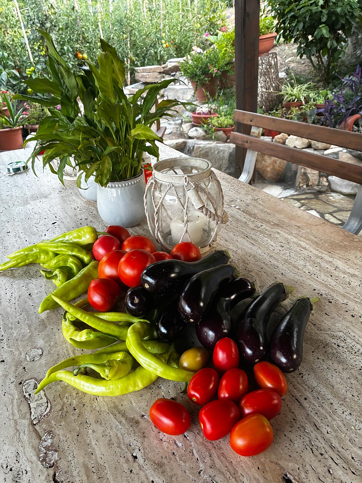 Fresh garden vegetables on an outdoor table at Bloomora.