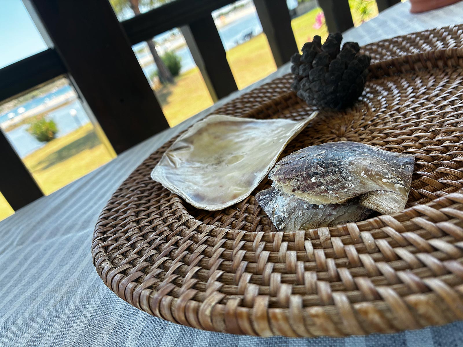 Seashell details on a woven tray at Bloomora.