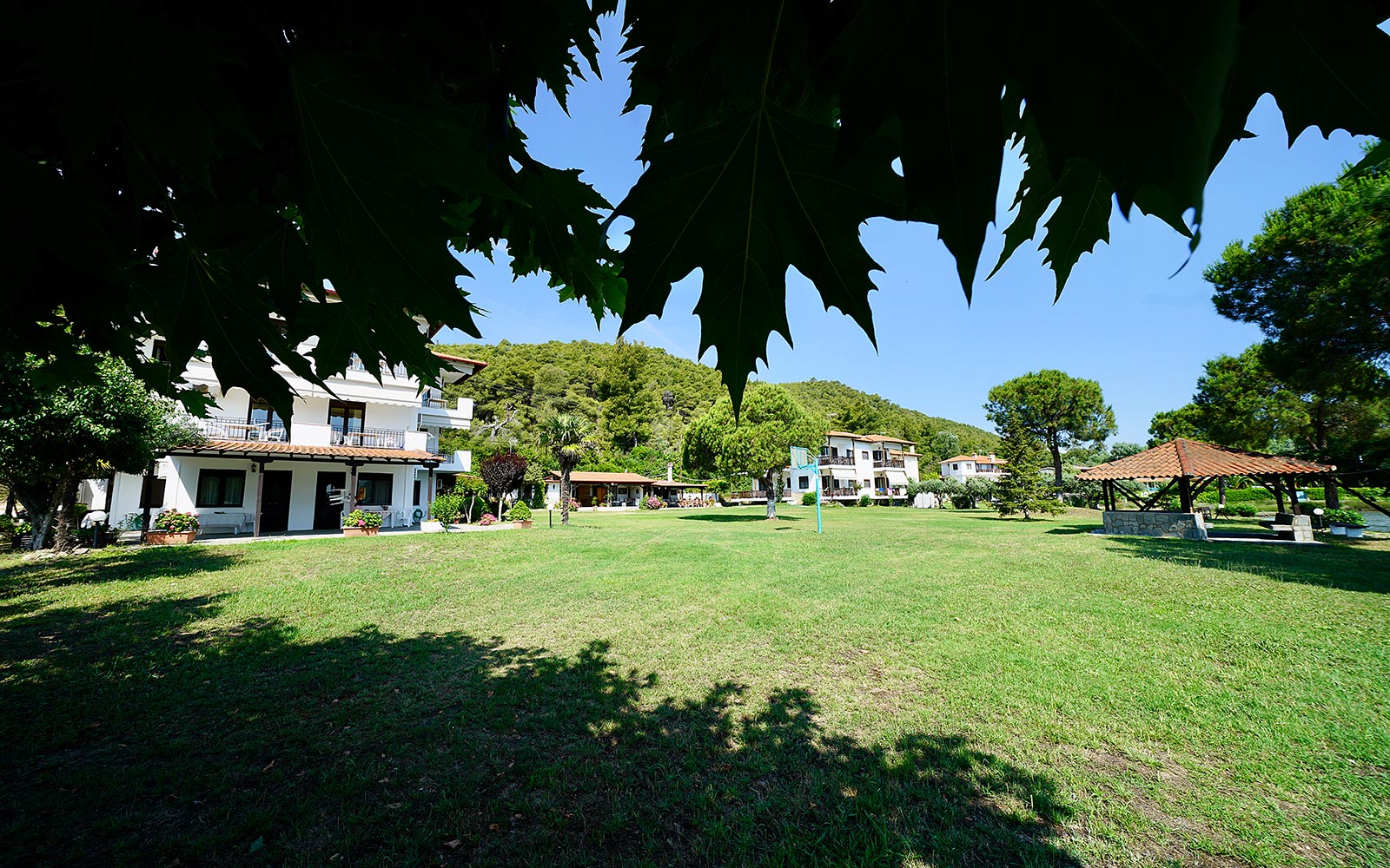 Open garden space with shaded kiosks and studios at Bloomora.