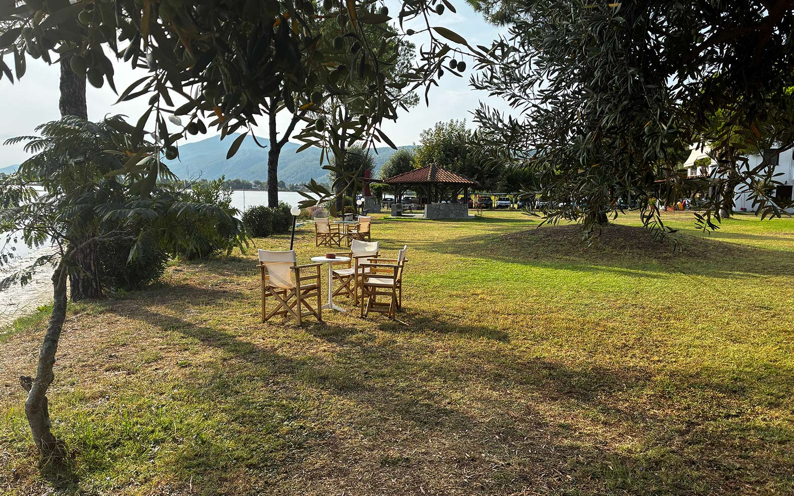 Outdoor seating under the trees beside the garden and sea at Bloomora.