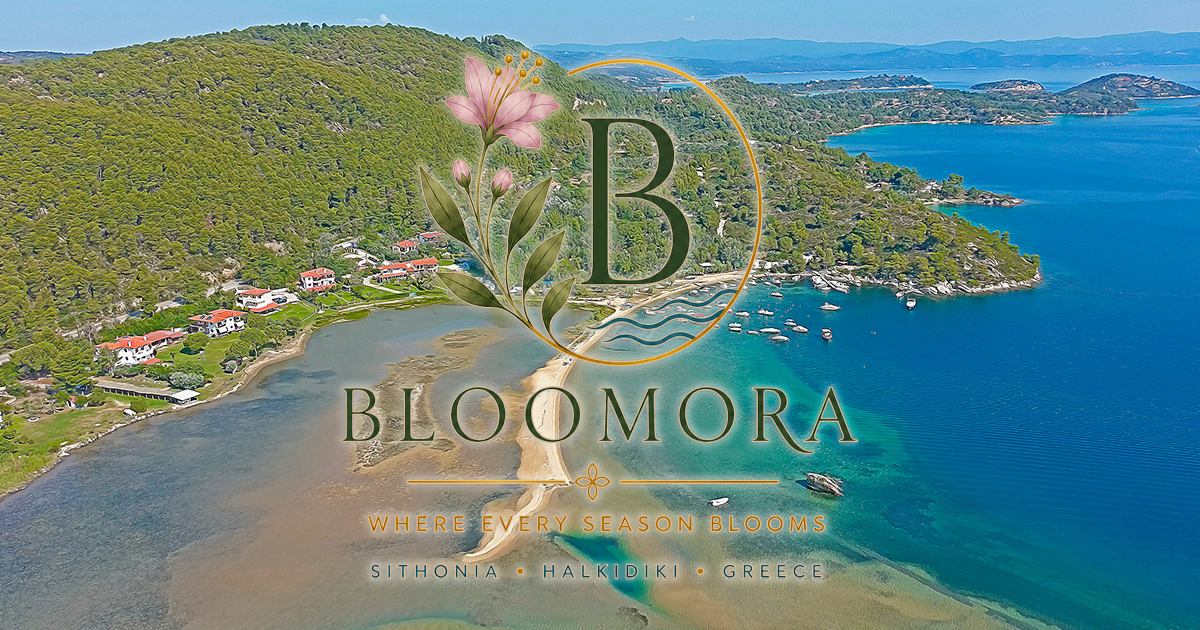 Solicit Help Contact Bloomora | Request availability
